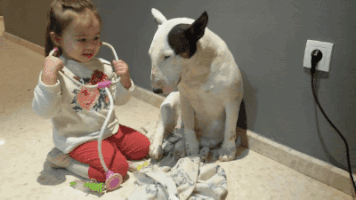 Via Giphy 