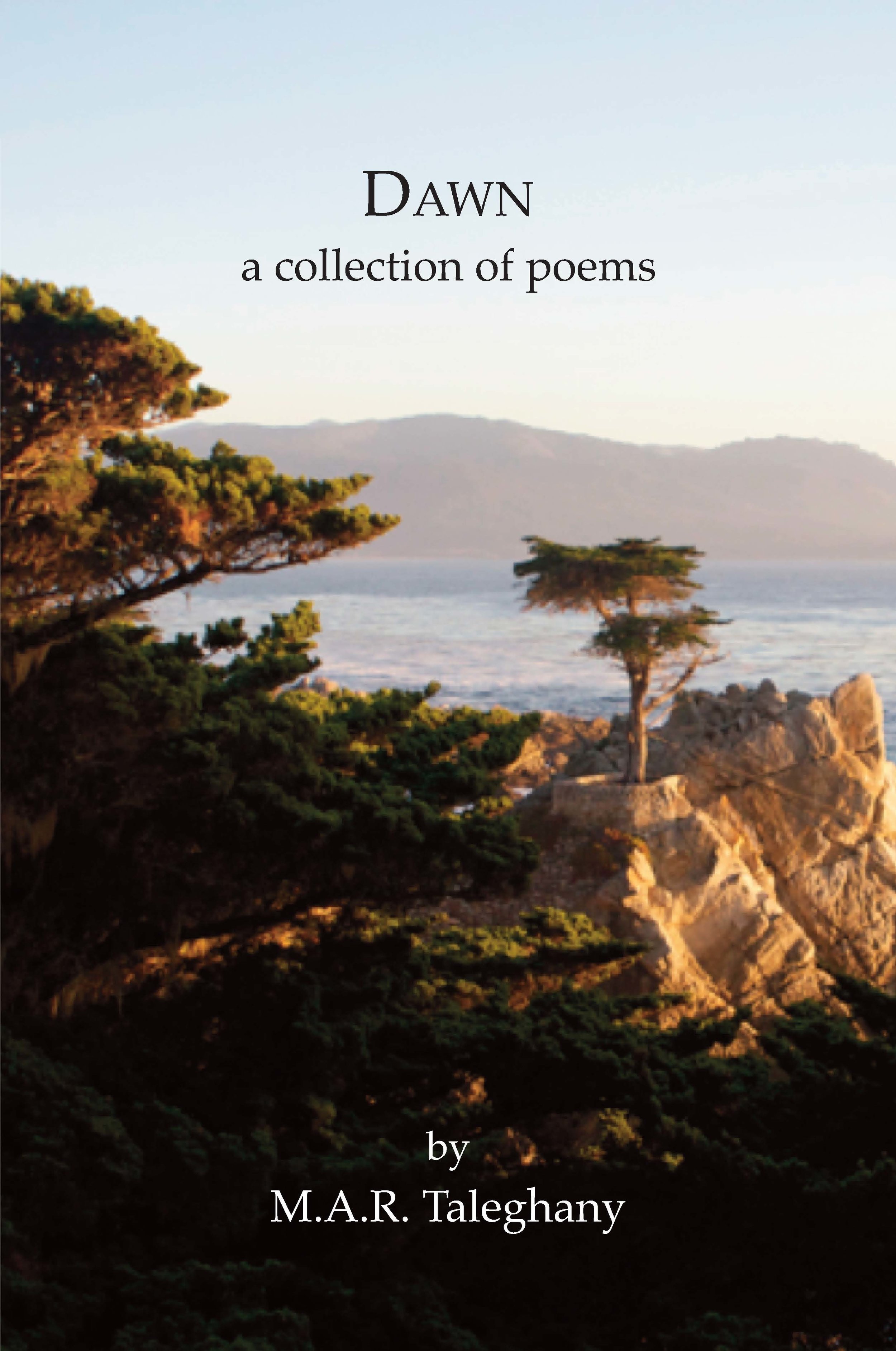 Taleghany-Poems-front.jpg