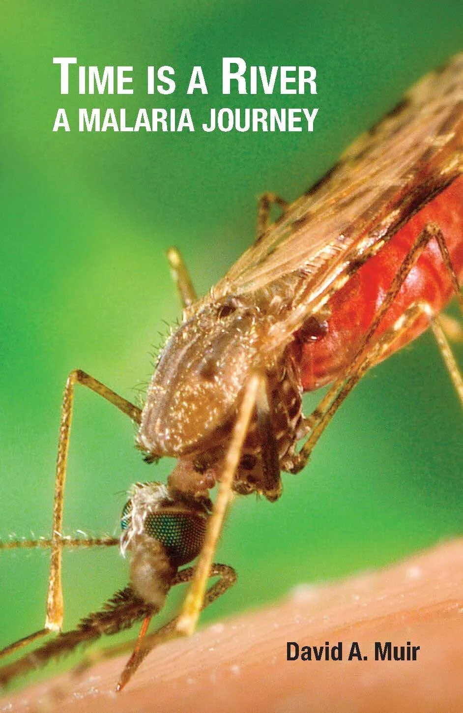 Time Is A River: A Malaria Journey