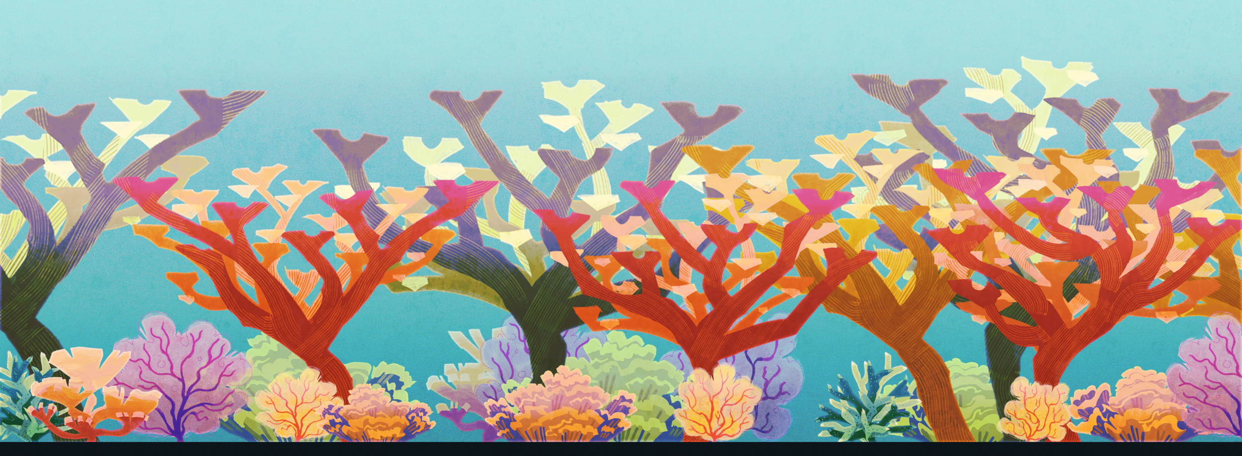coralArtboard-1-copy_2.png