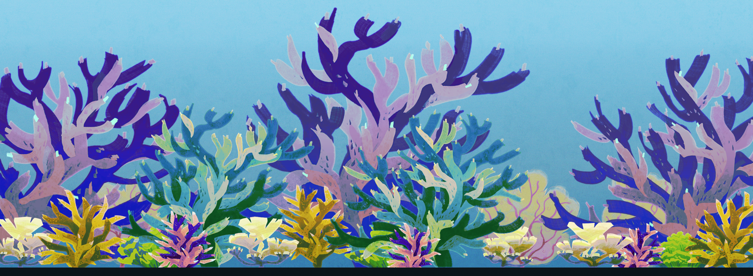 coralArtboard-1-copy-2.png