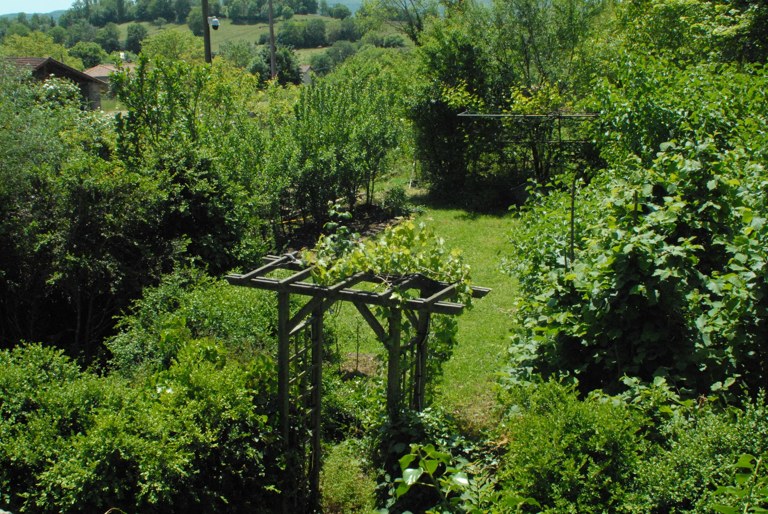 DSC_0783.JPG