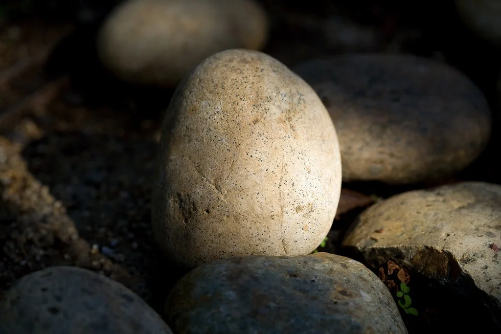 website image rocks eathy-min.jpg