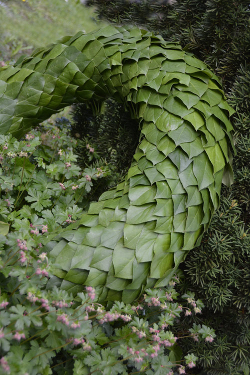 Blumen_Frisch_der+Gerömerte.jpg