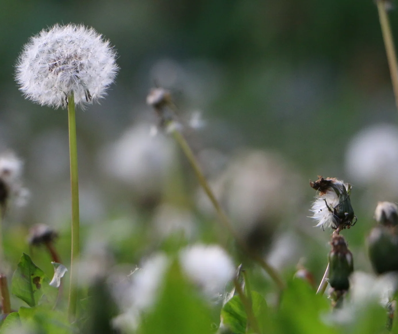 Auffahrt Öffnungszeiten