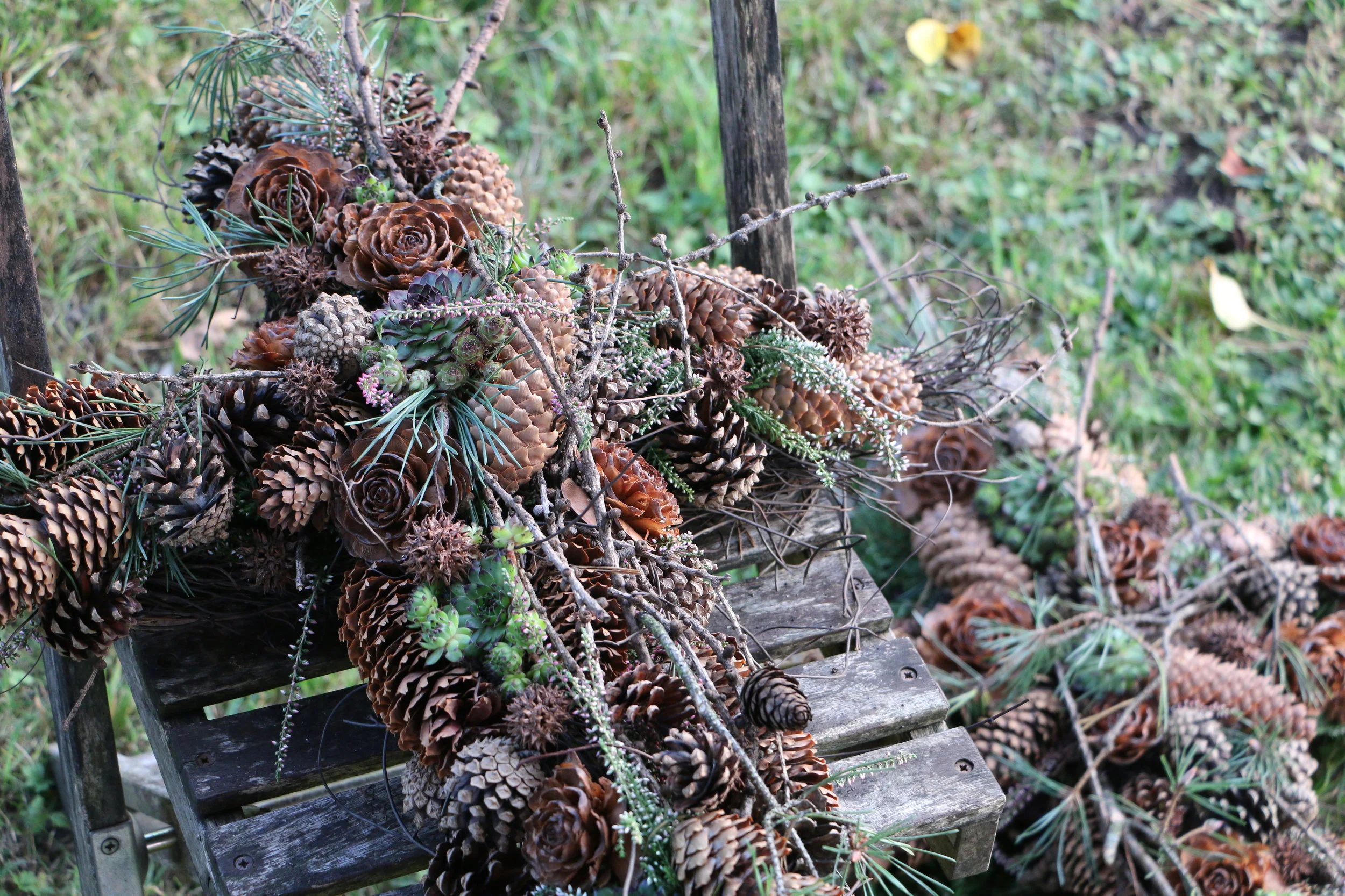 Am 1. November ist Allerheiligen.