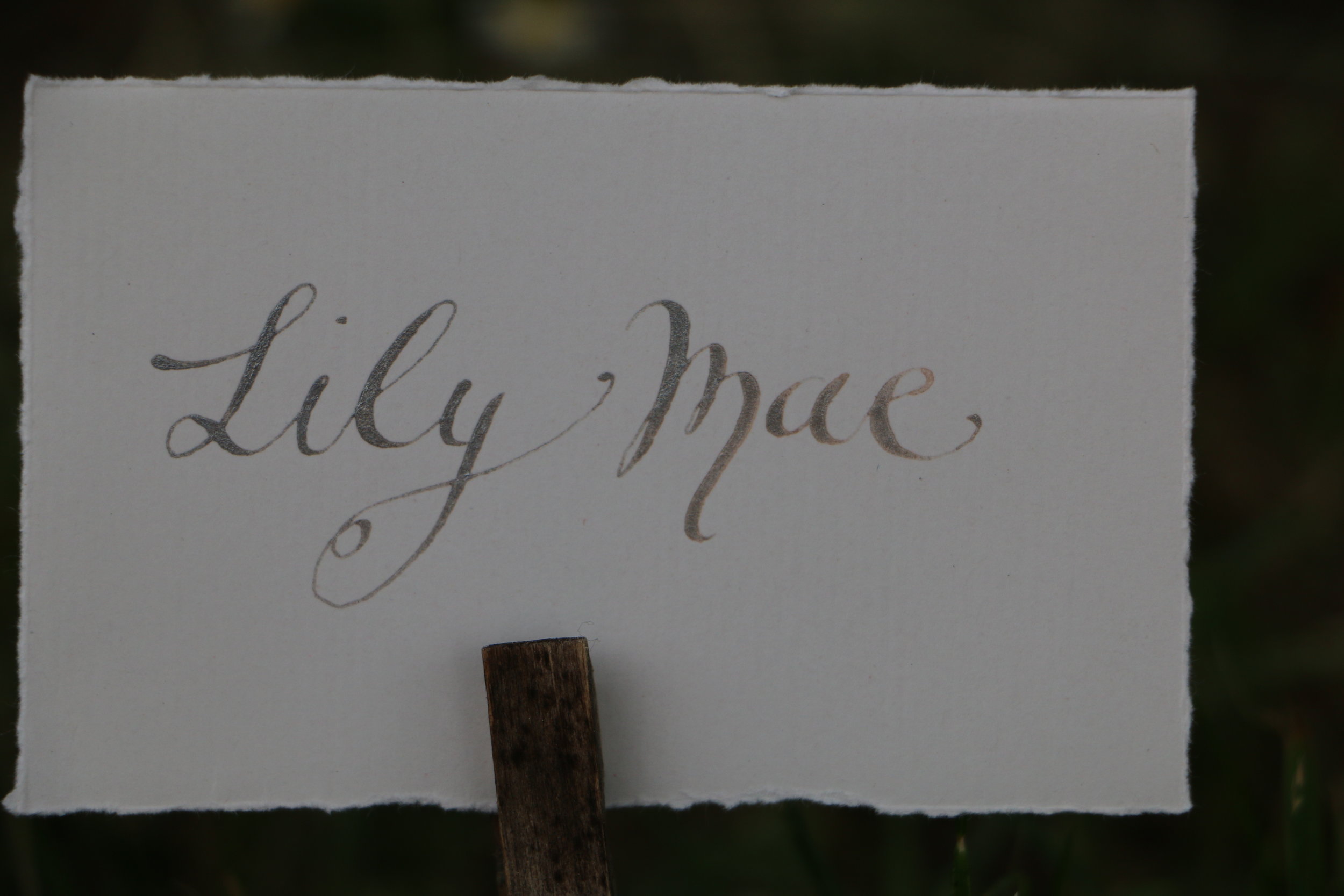 Moderne Kalligrafie | Handlettering