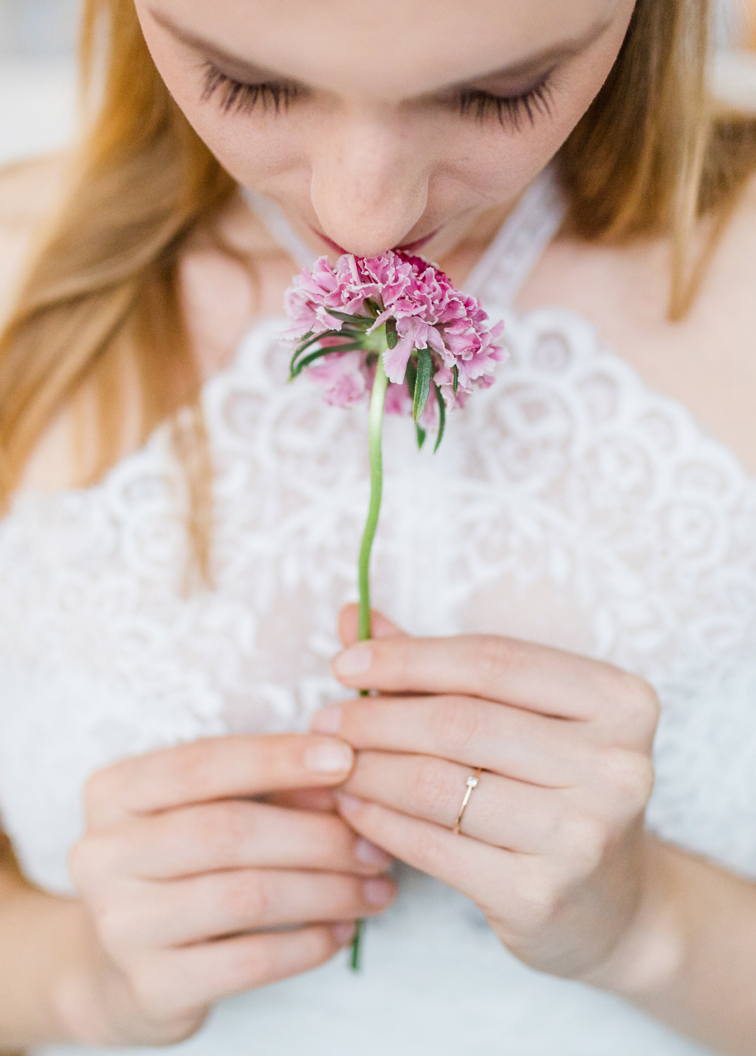 Scabiose.jpg