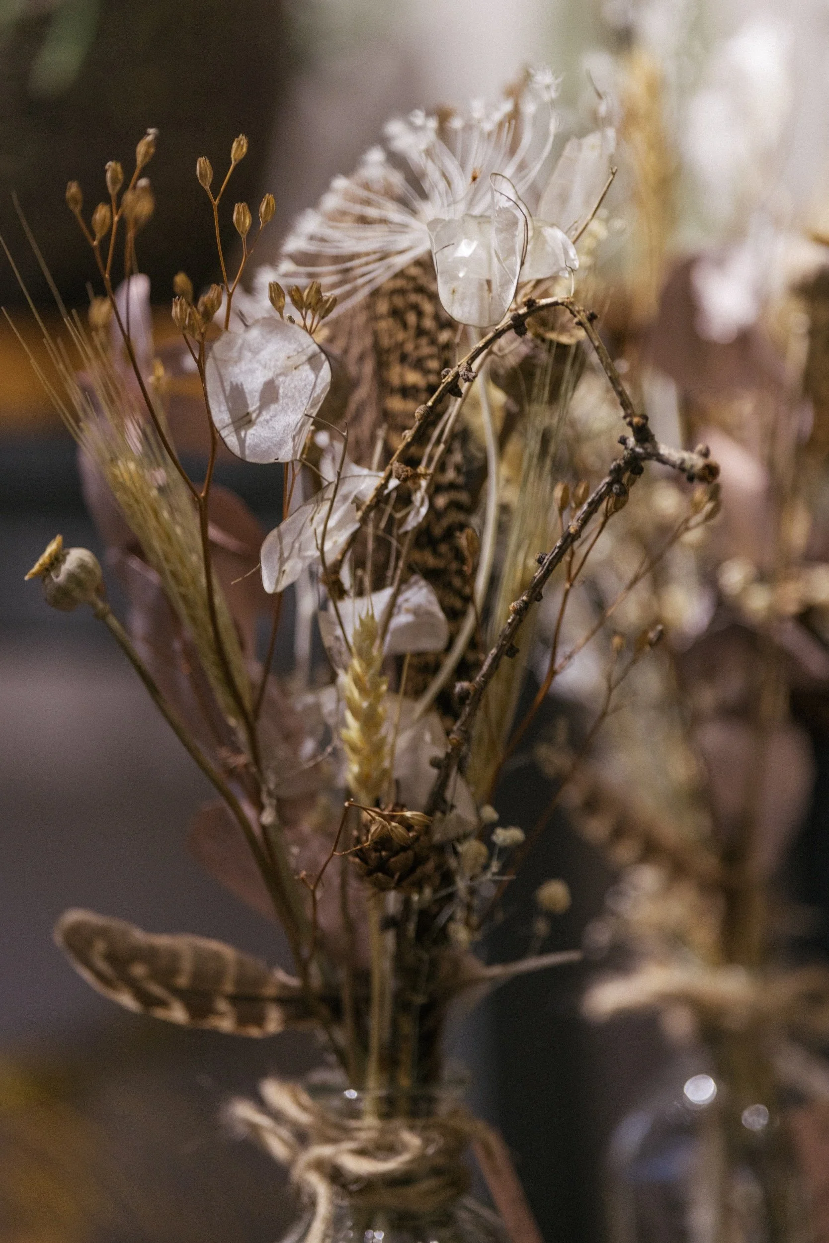 processed_untitled-260821-120126.jpg