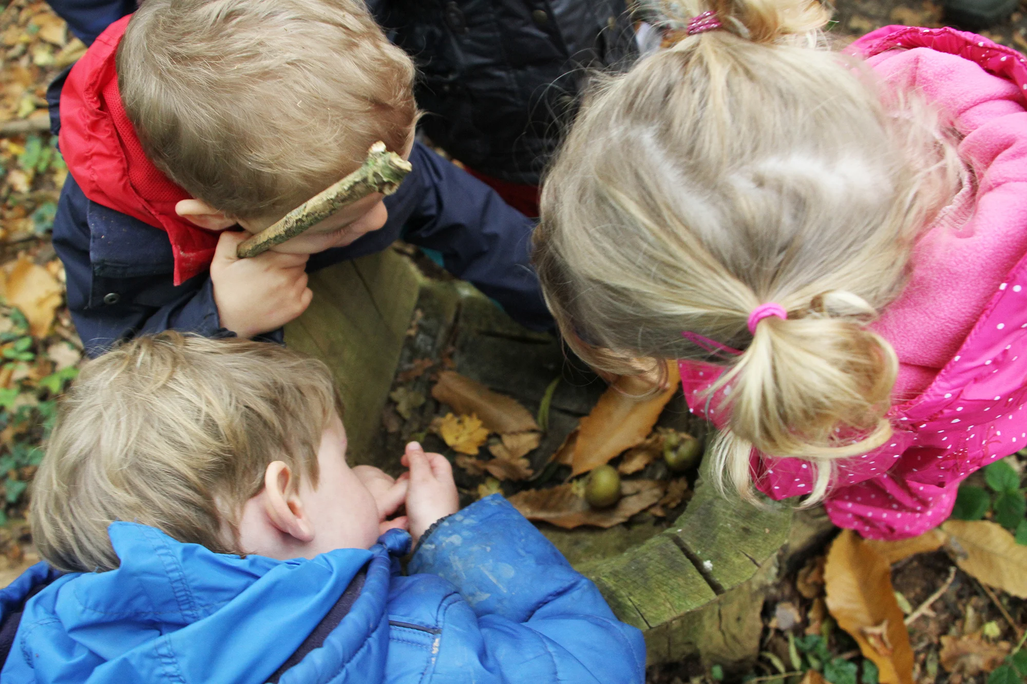 little peoples learning barn