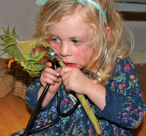 Testing the theory that ‘plants have hearts too’