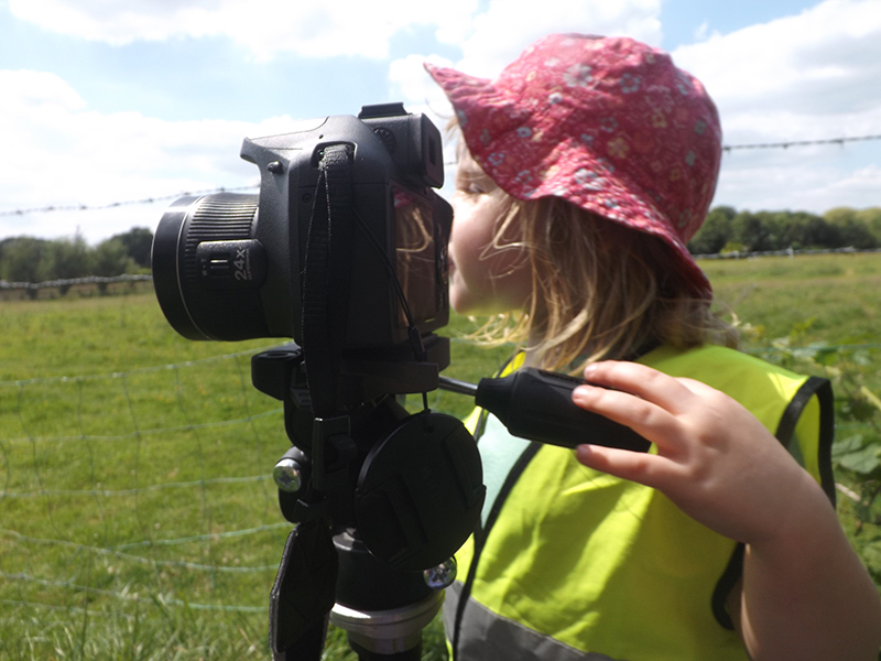 Using the digital camera to explore perspective in photography around the farm