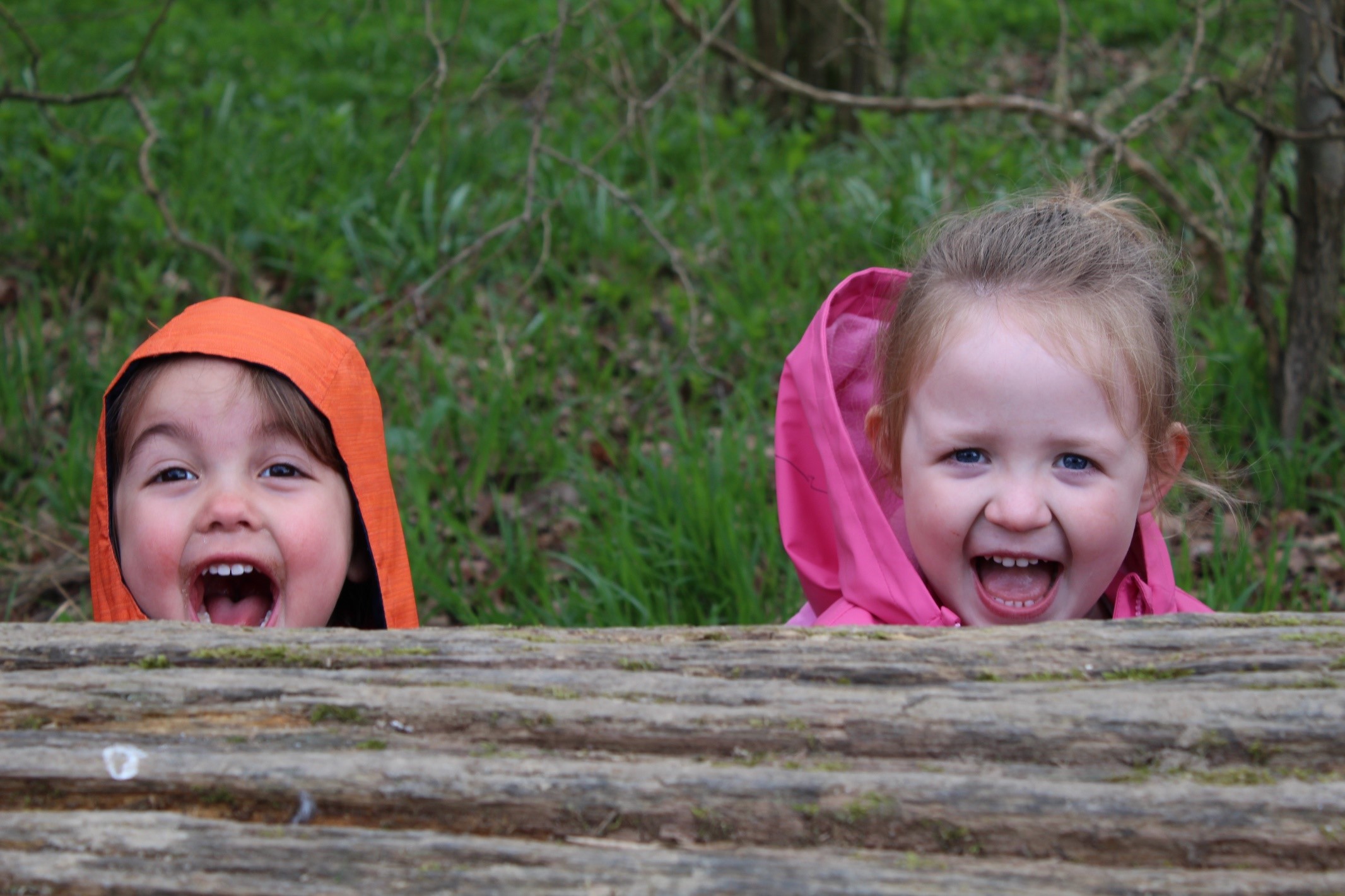 Farlington Little Barn Owls Nursery And Farm School Little Barn Owls Nursery And Farm School