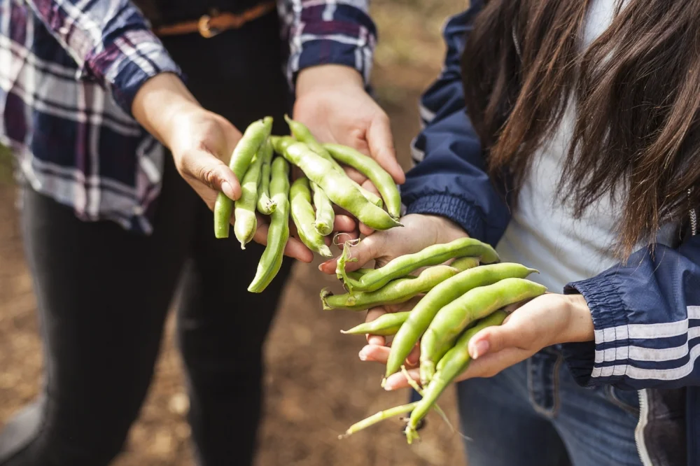 The Soul of a School: An Environmental High School Takes on an Urban Farm