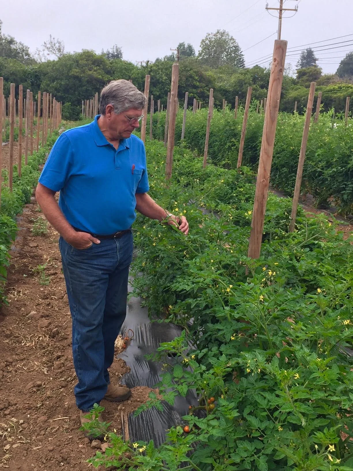 Rooted in History: Malibu's Thorne Family Farm