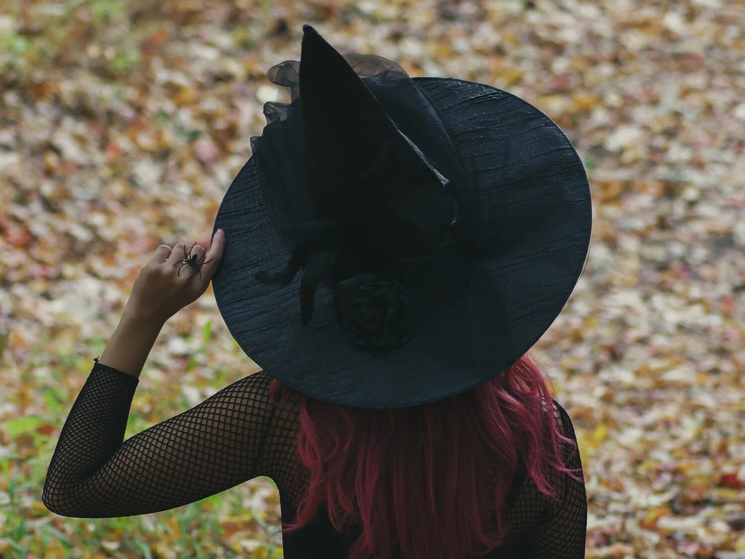 On Psychedelics and Bad PR: How Witches Got Their Pointy Hats