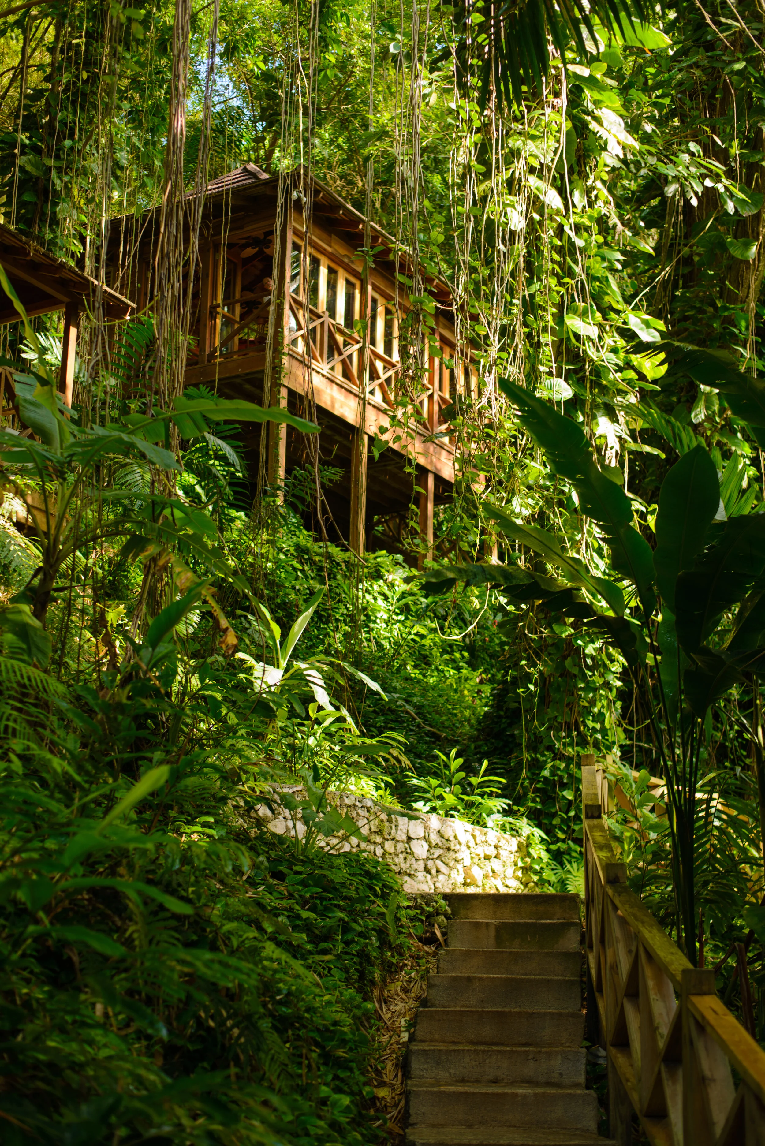 The Zing of the Thing: A deep dive into jerk chicken from a wild weekend in Jamaica