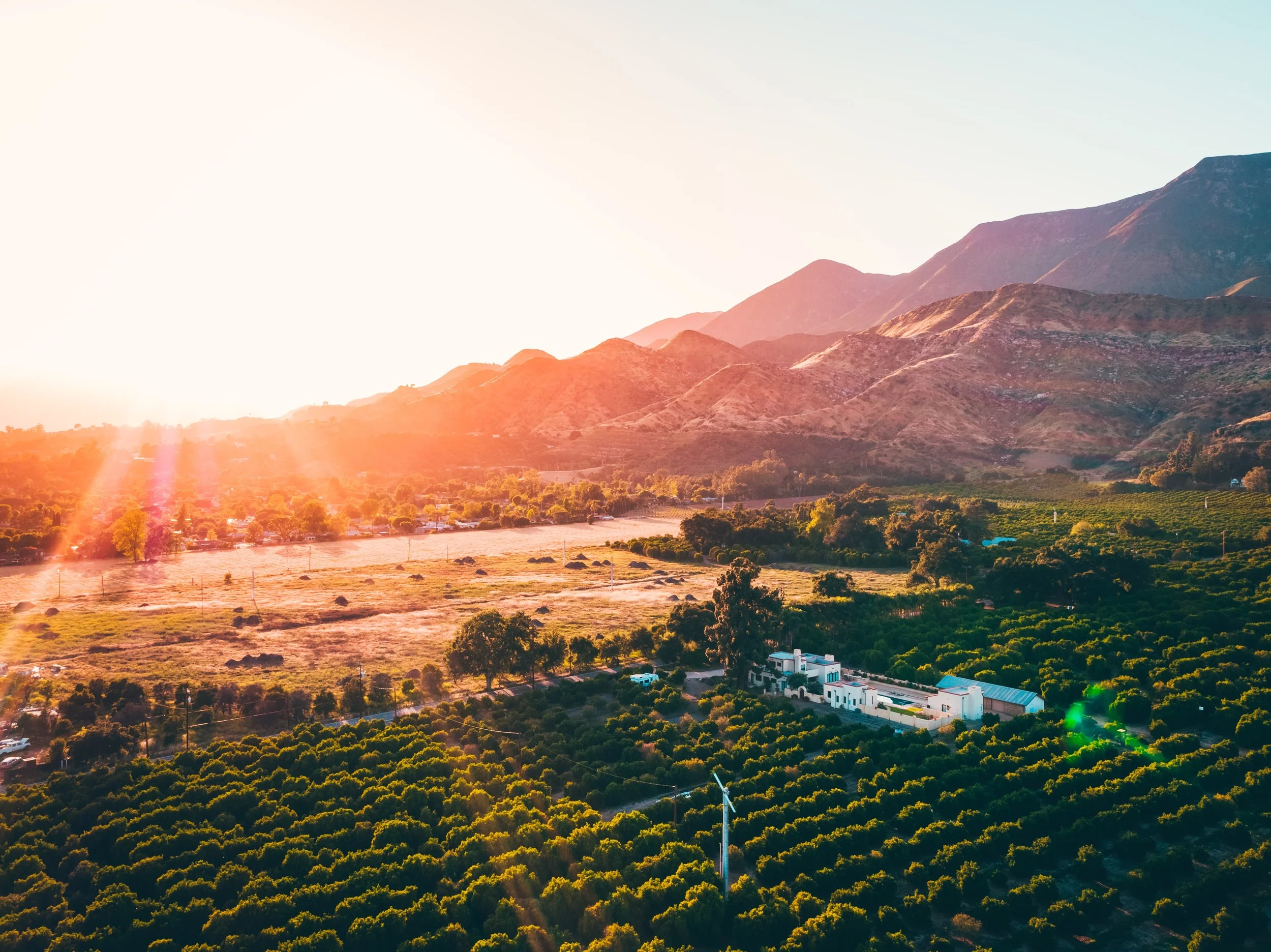 Edible Explorer: 24 Hours in Ojai