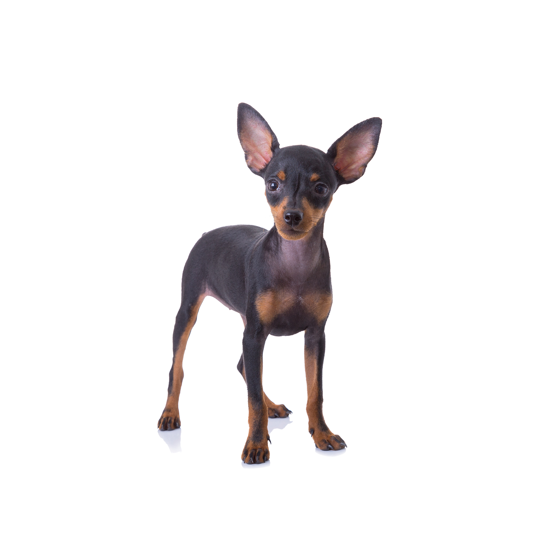 MIN-PIN-92.jpg