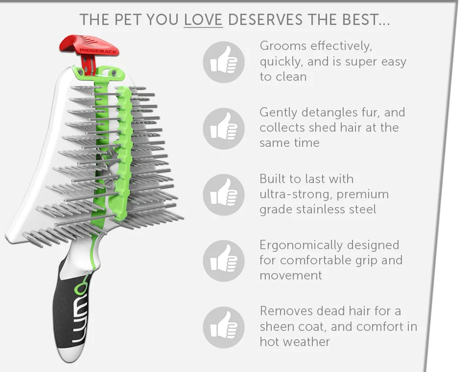 electric perimeter for dogs