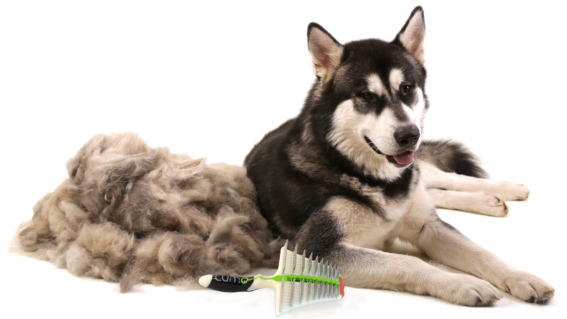 lumo dog brush