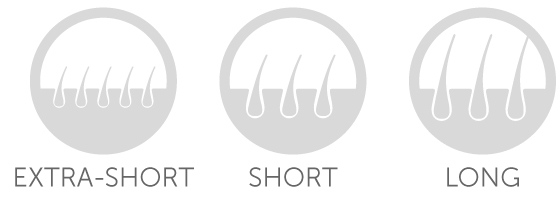 Model-Selector-Header.jpg