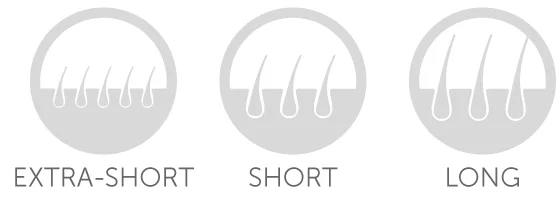 Model-Selector-Header.jpg