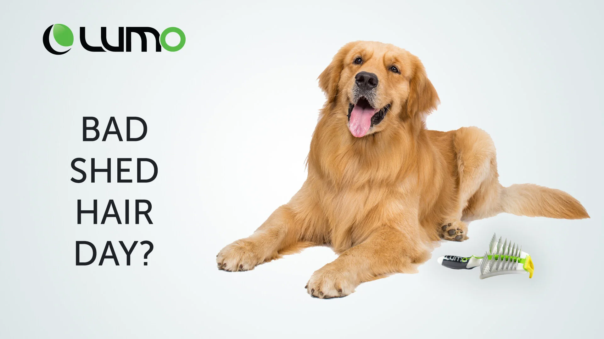 lumo dog brush