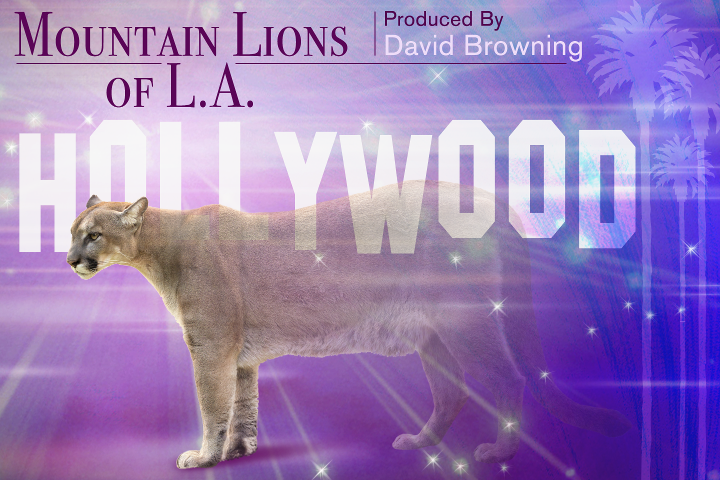 Mountain Lions of L.A..png