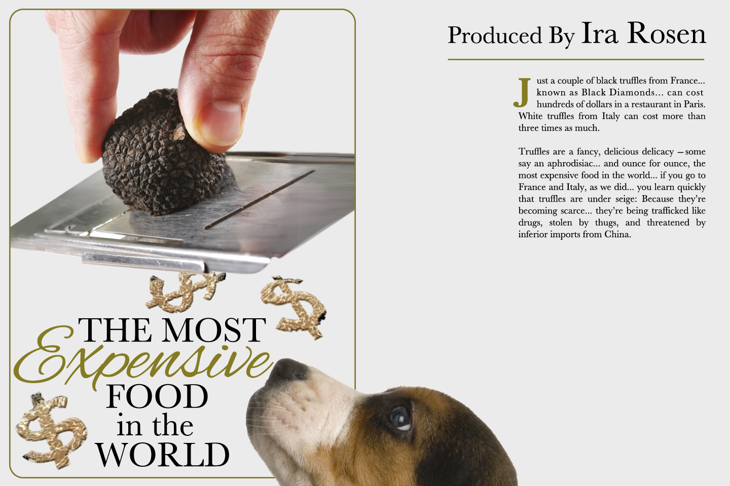 The Most Expensive Food in the World.png