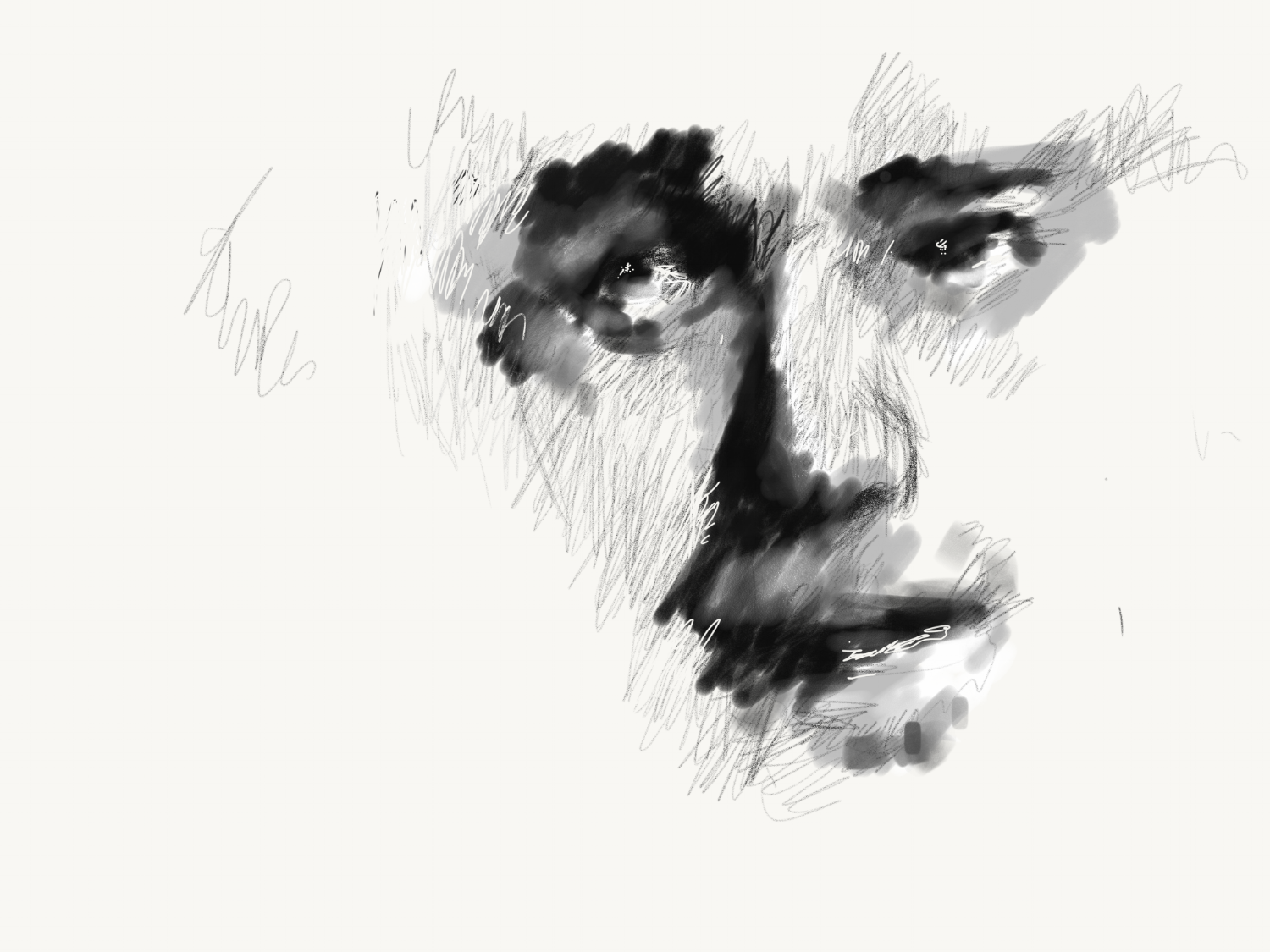 Project - Sketch 5.png