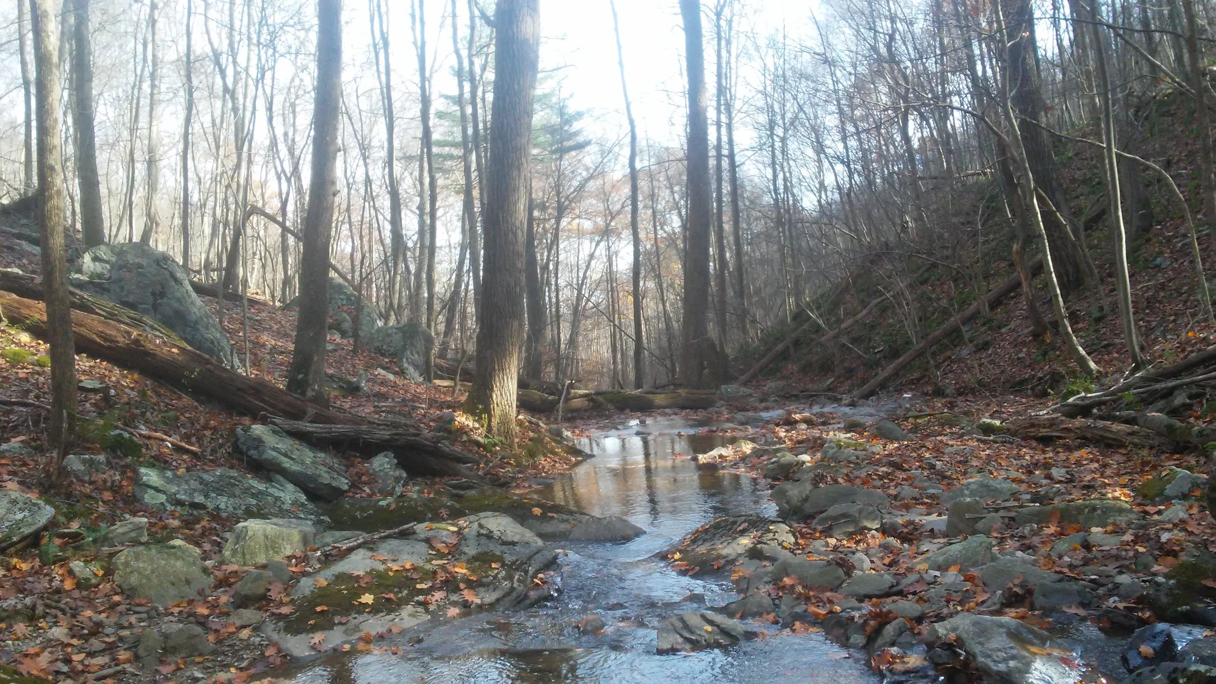 20171111_125435.jpg