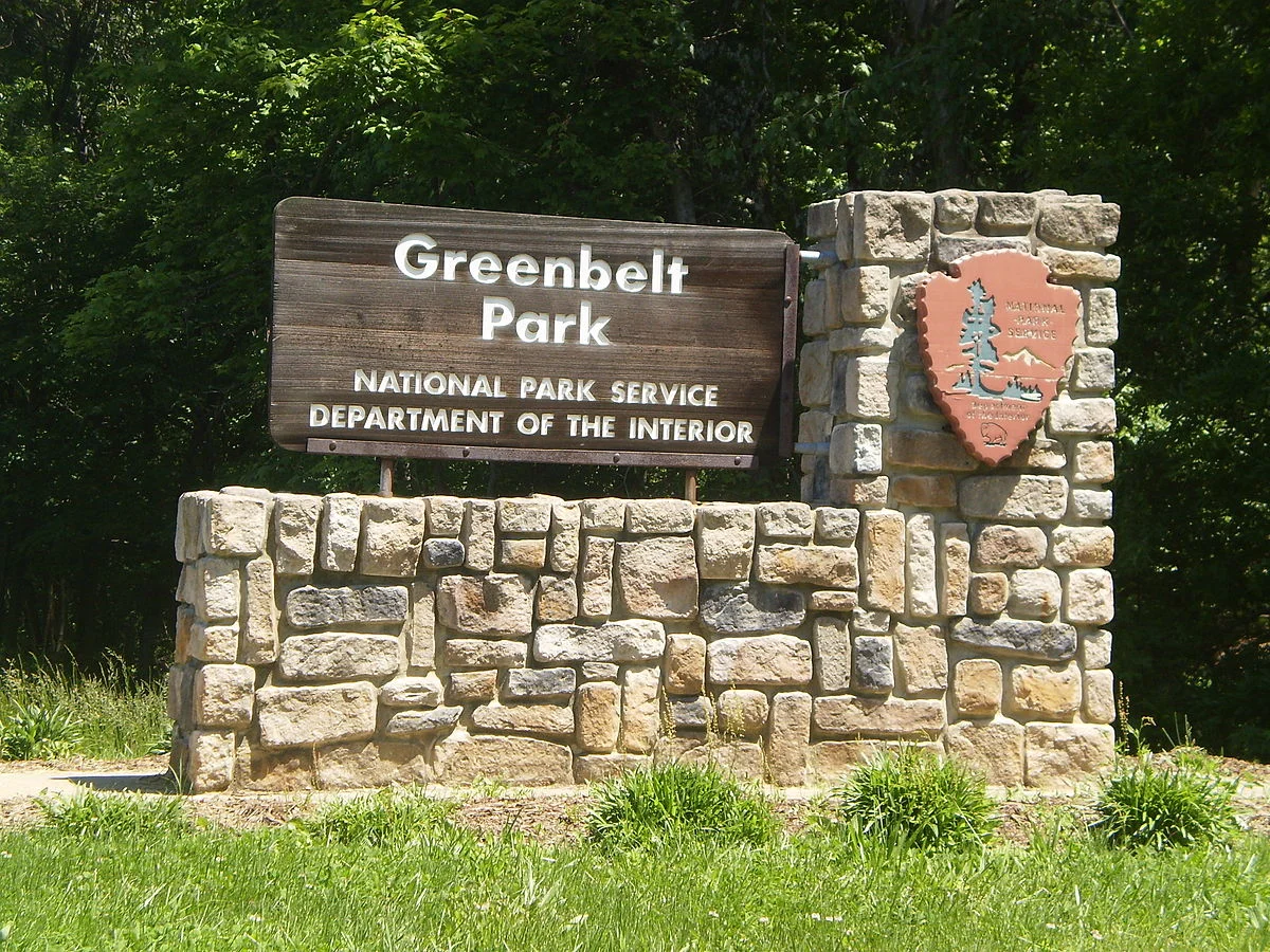 Greenbelt Park: Invasive Plant Removal