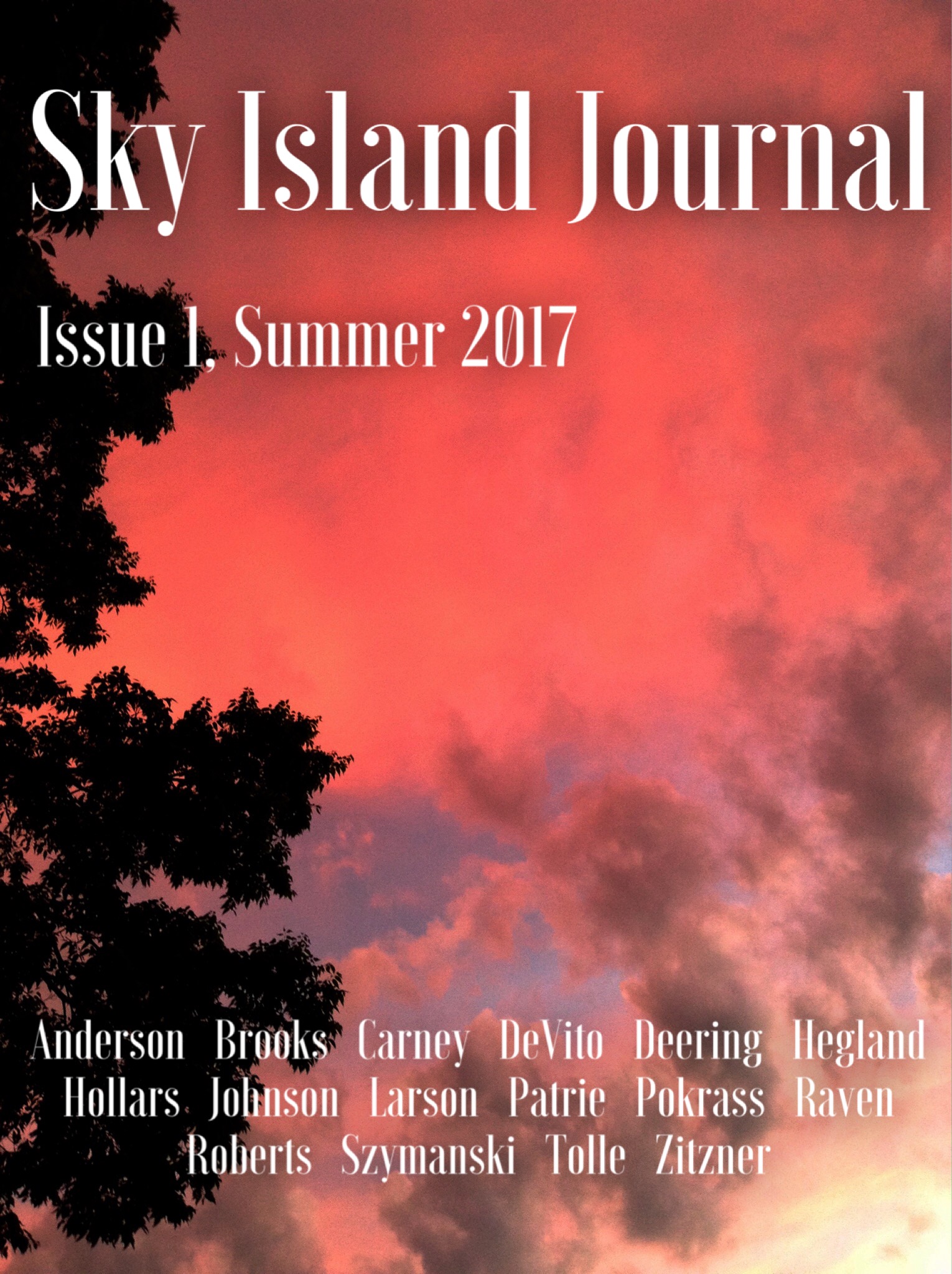 Revised Sky Island Journal Issue 1, Summer 2017 Cover.jpeg