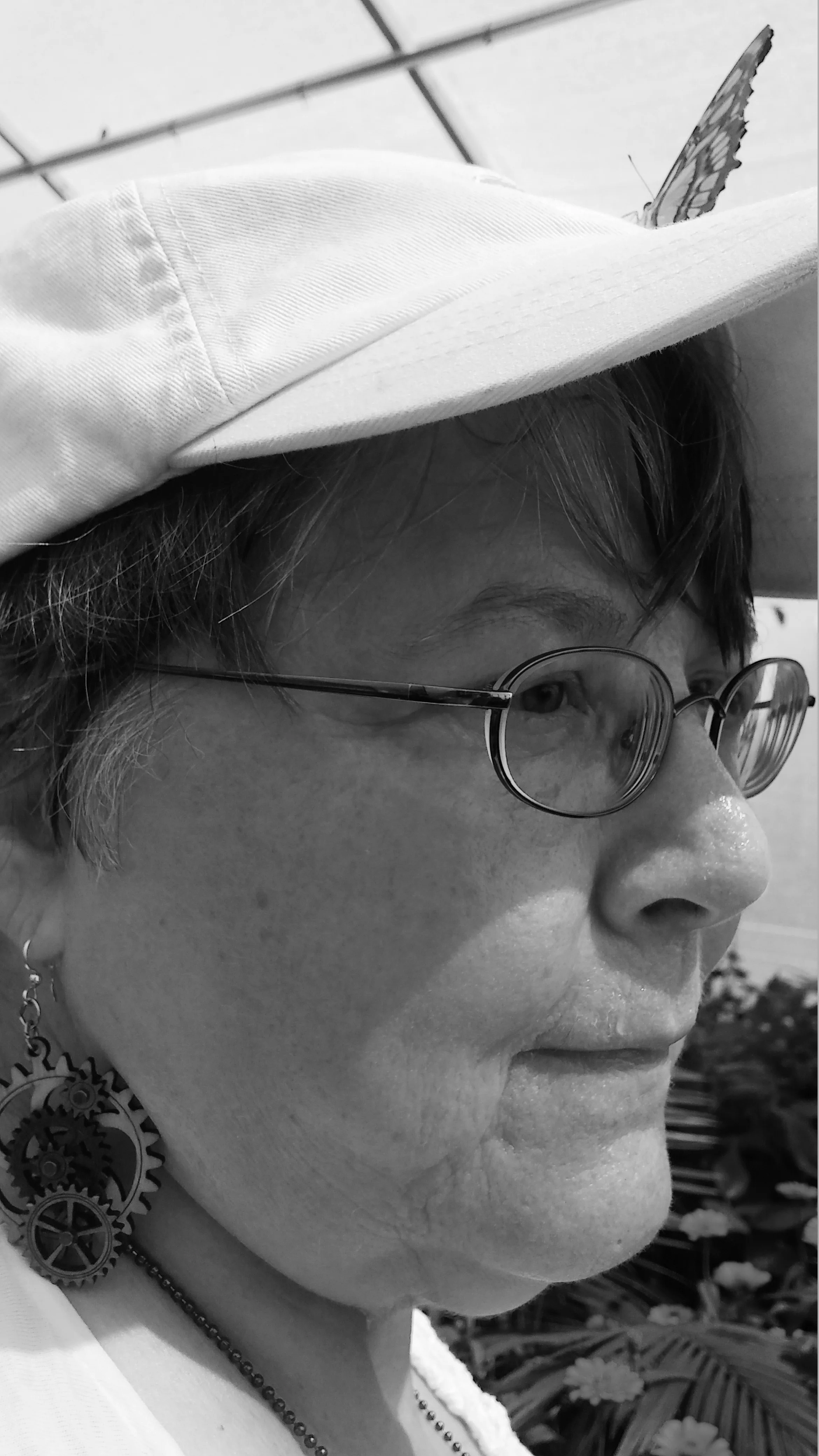 Sandra Lindow_Photo.jpg
