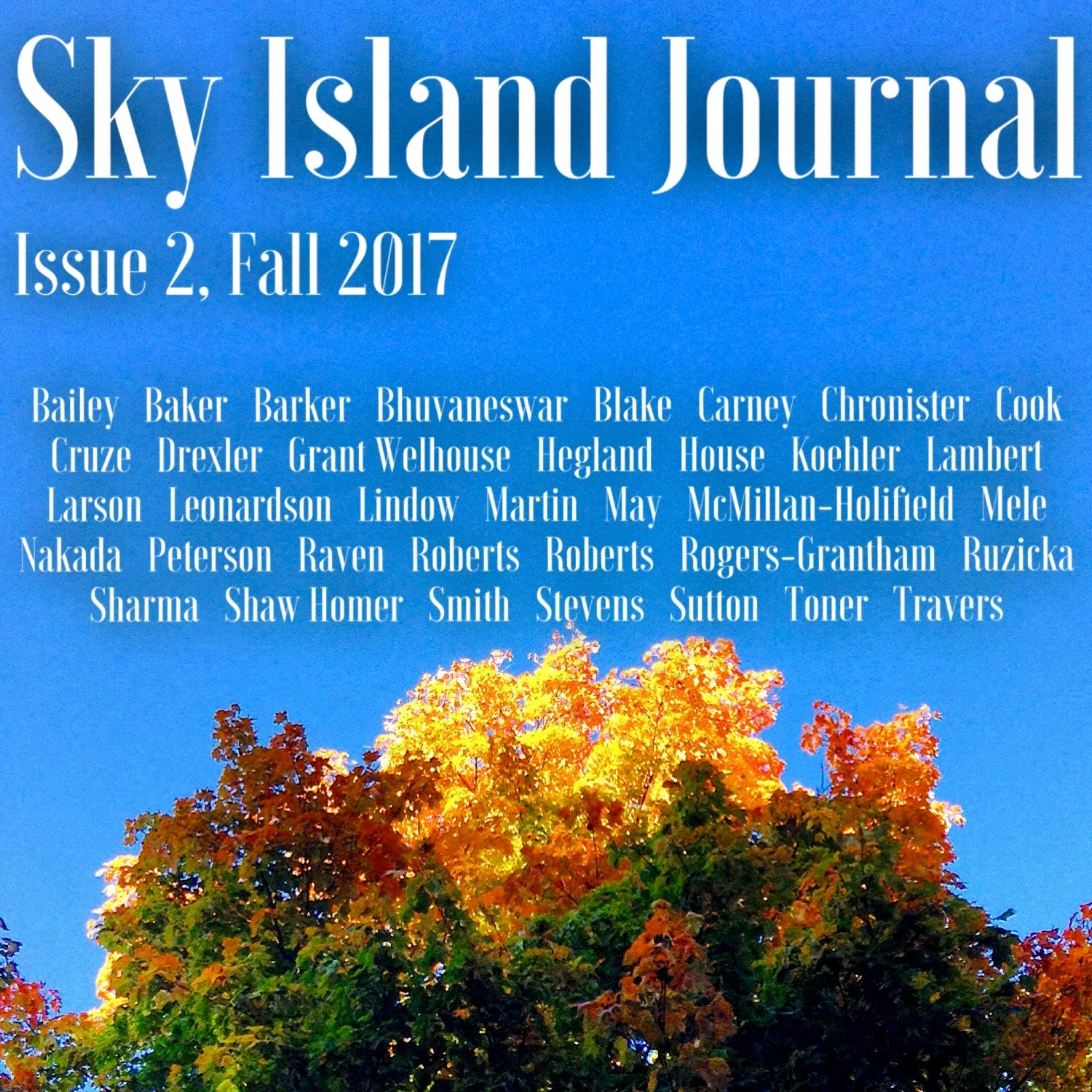 COVER.jpeg