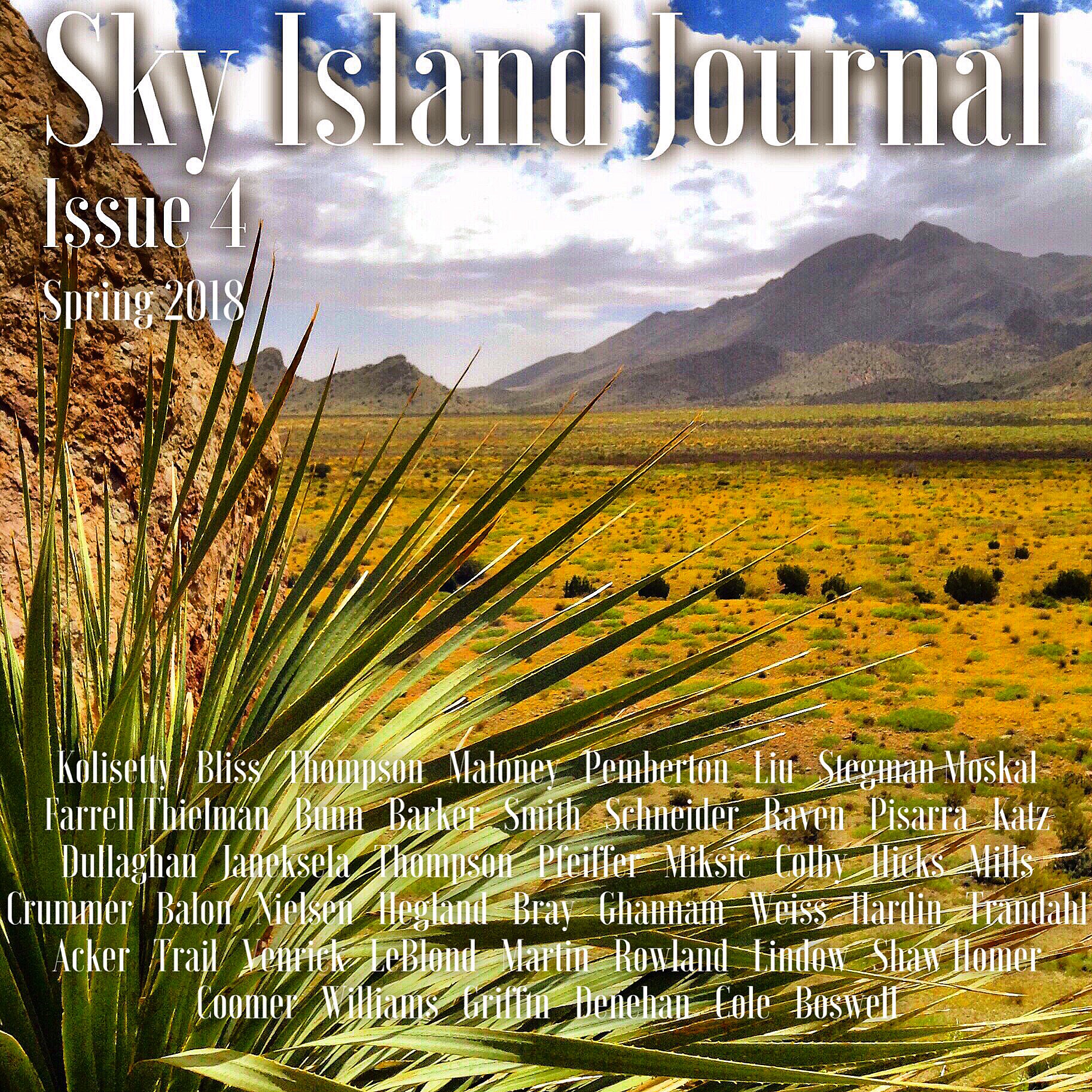 Sky Island Journal_Issue 4.jpeg