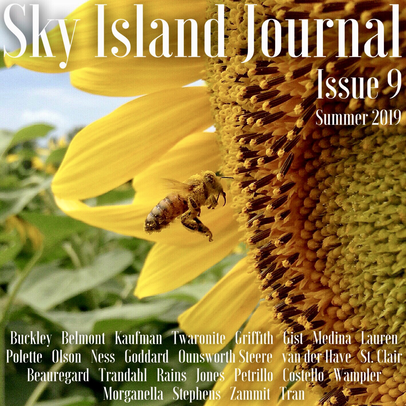Sky Island Journal_Issue 9.jpeg