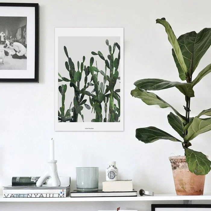 Fiddle Leaf Fig (image credit Lunagemme.com)