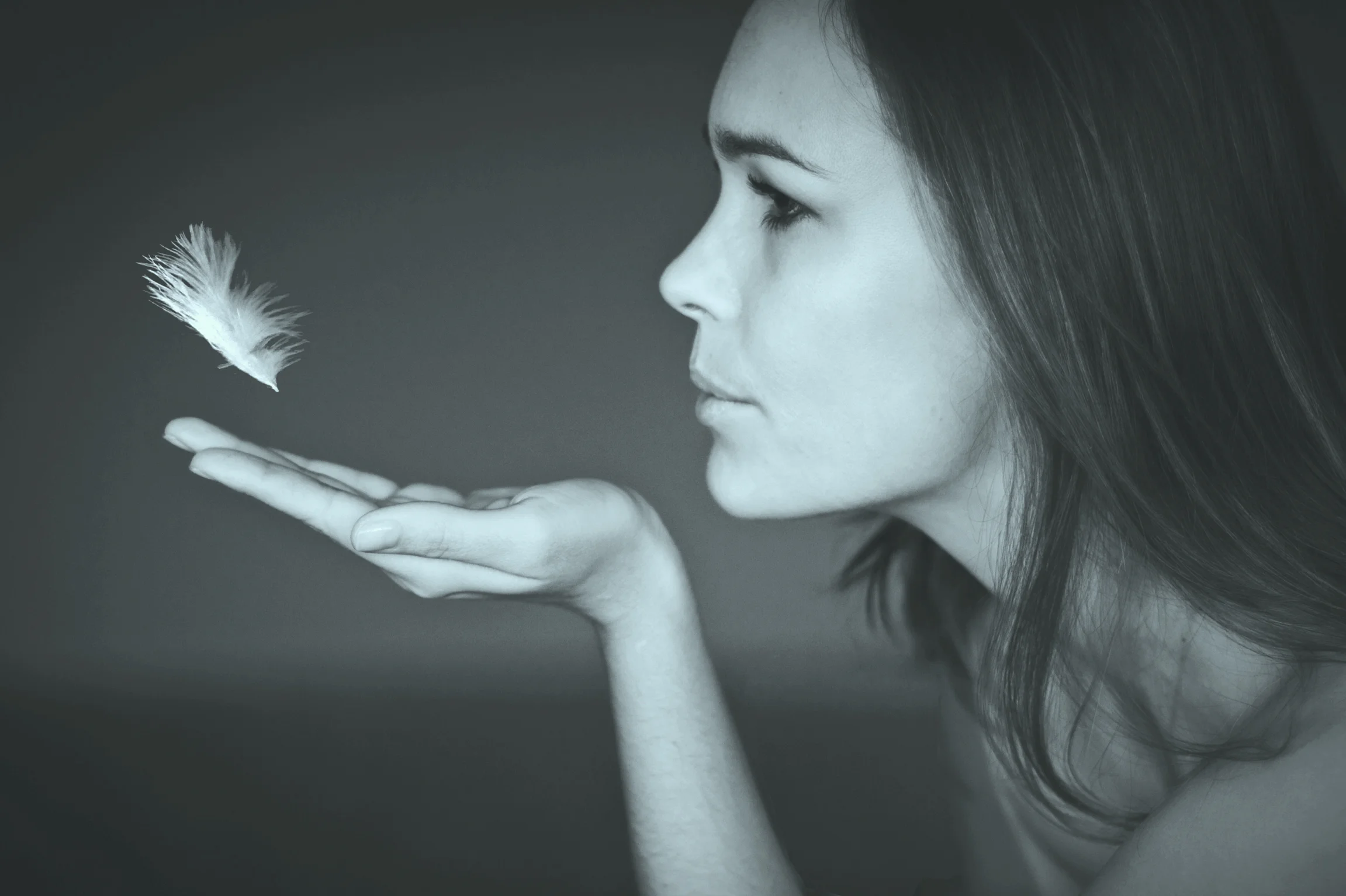 Pluma2bv.jpg