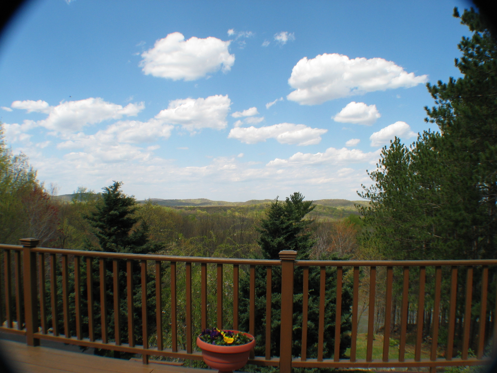 01_01-5 PineView Round 2 113.jpg