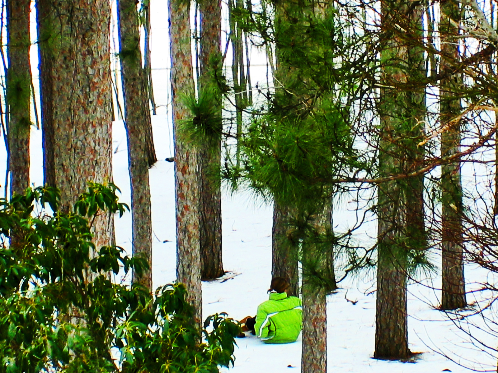 01_2007_Maggie In The Pines_V1.jpg