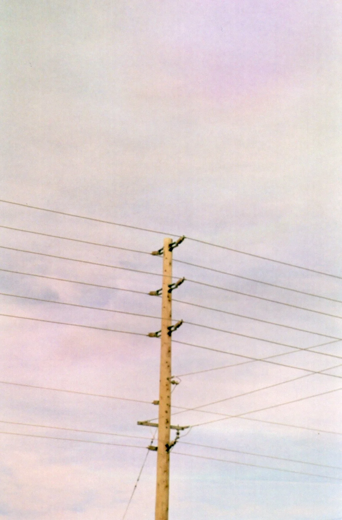 img004.jpg
