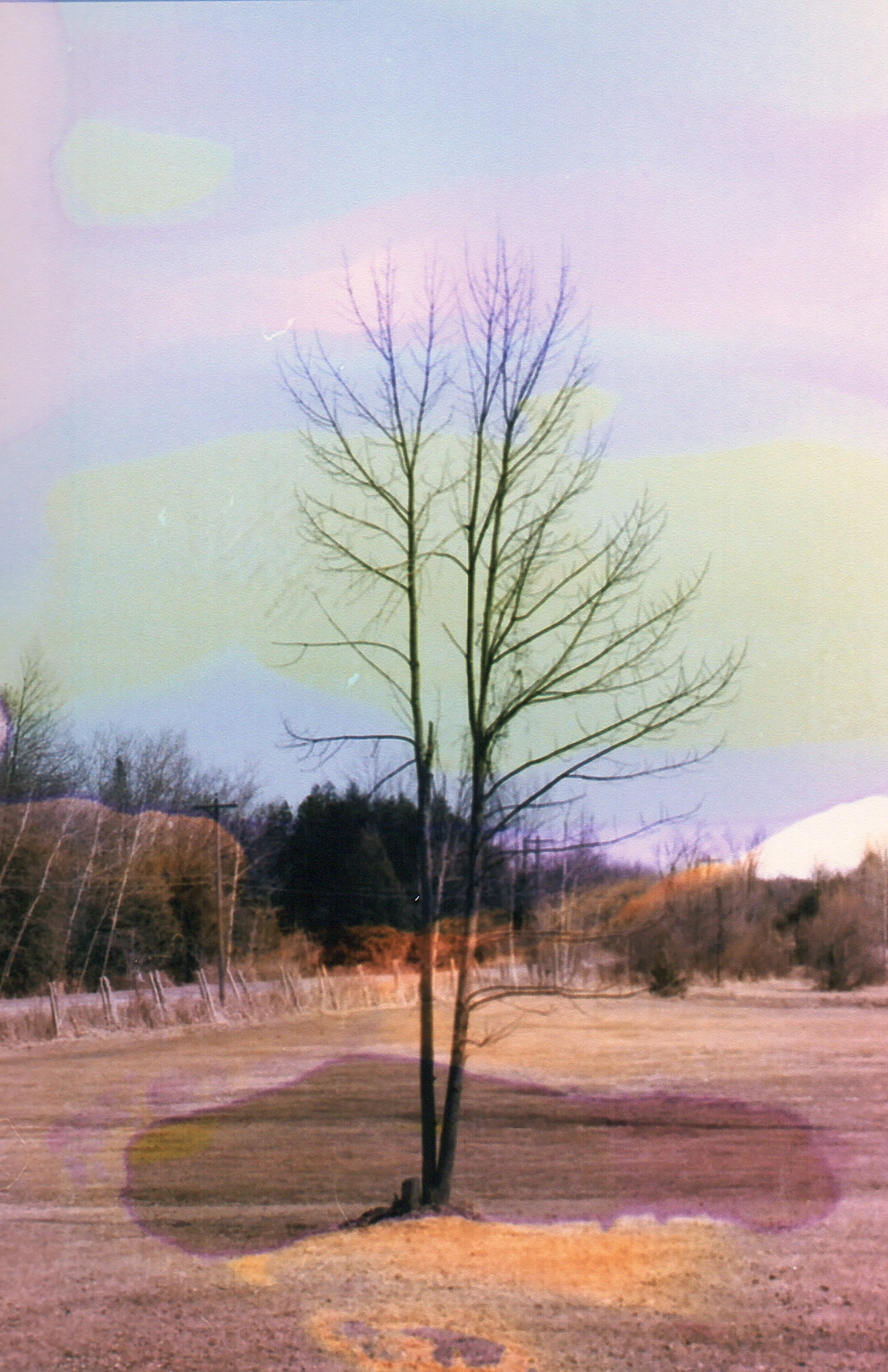 GalleryPrint2.jpg