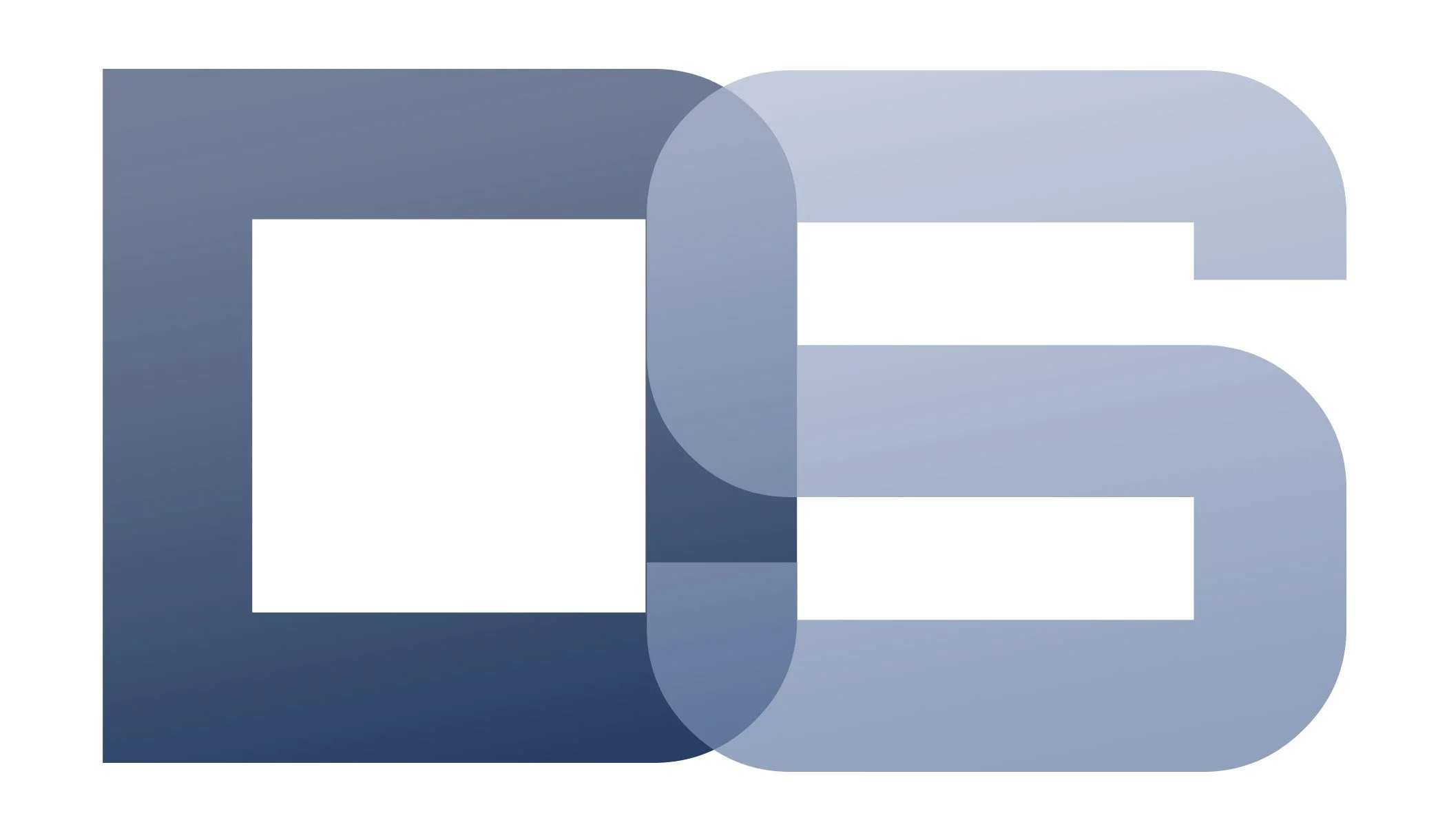 DS-LOGO-2025-WHITEBG.jpg