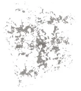 Lines - Copy.jpg
