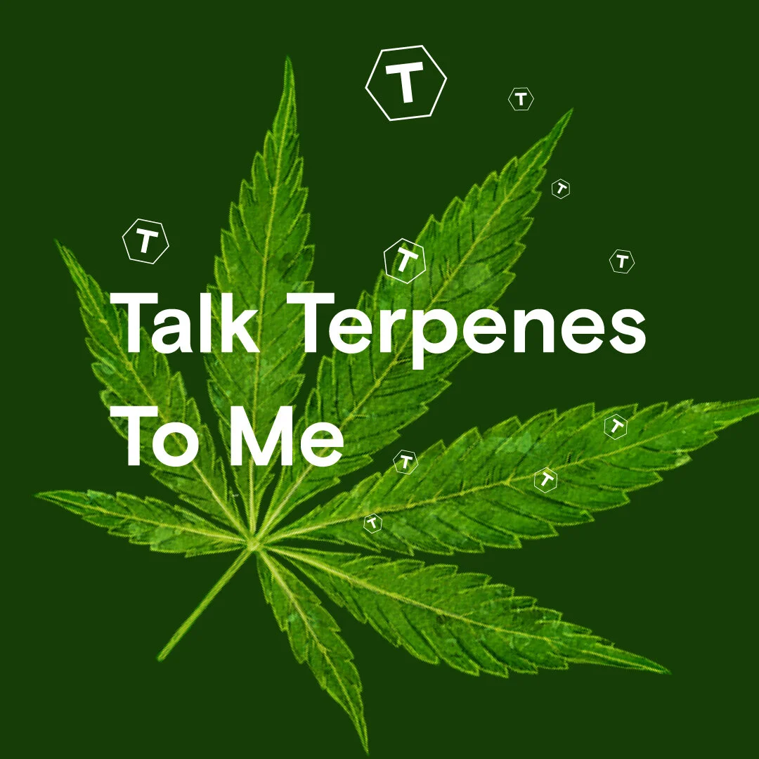 Talk Terpenes to me!