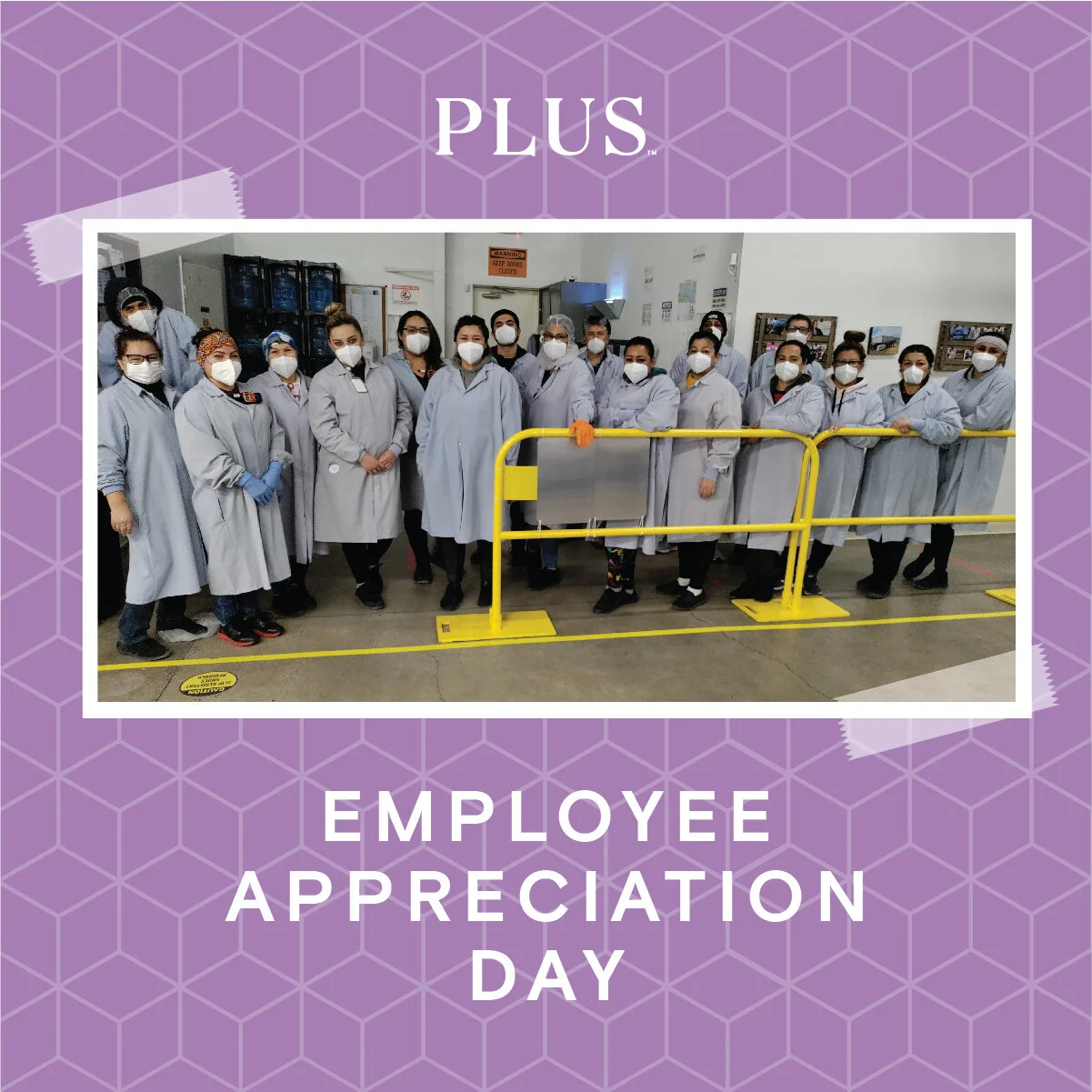Meet some of the team making the PLUS gummy magic happen.