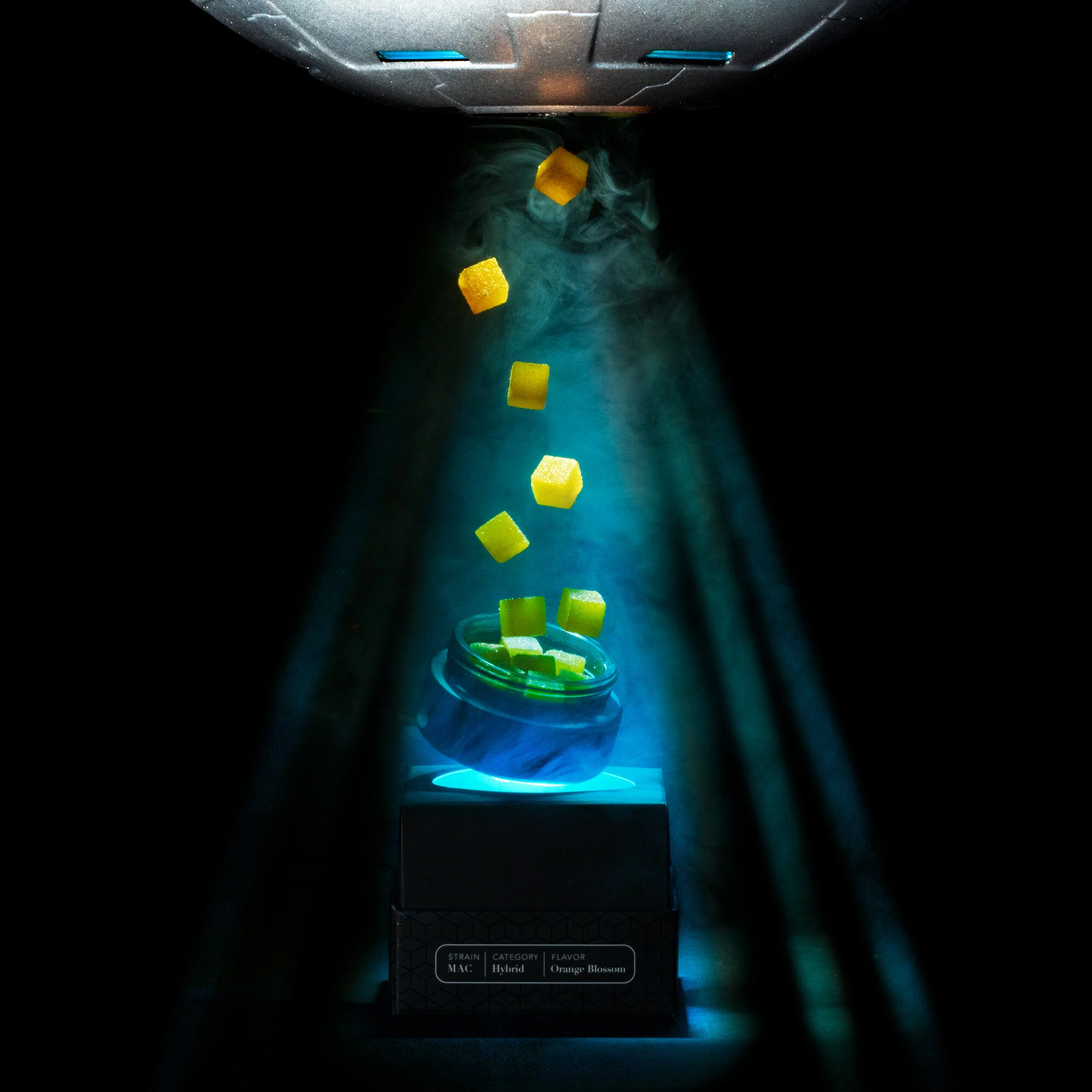 hash_abduction (1).jpg