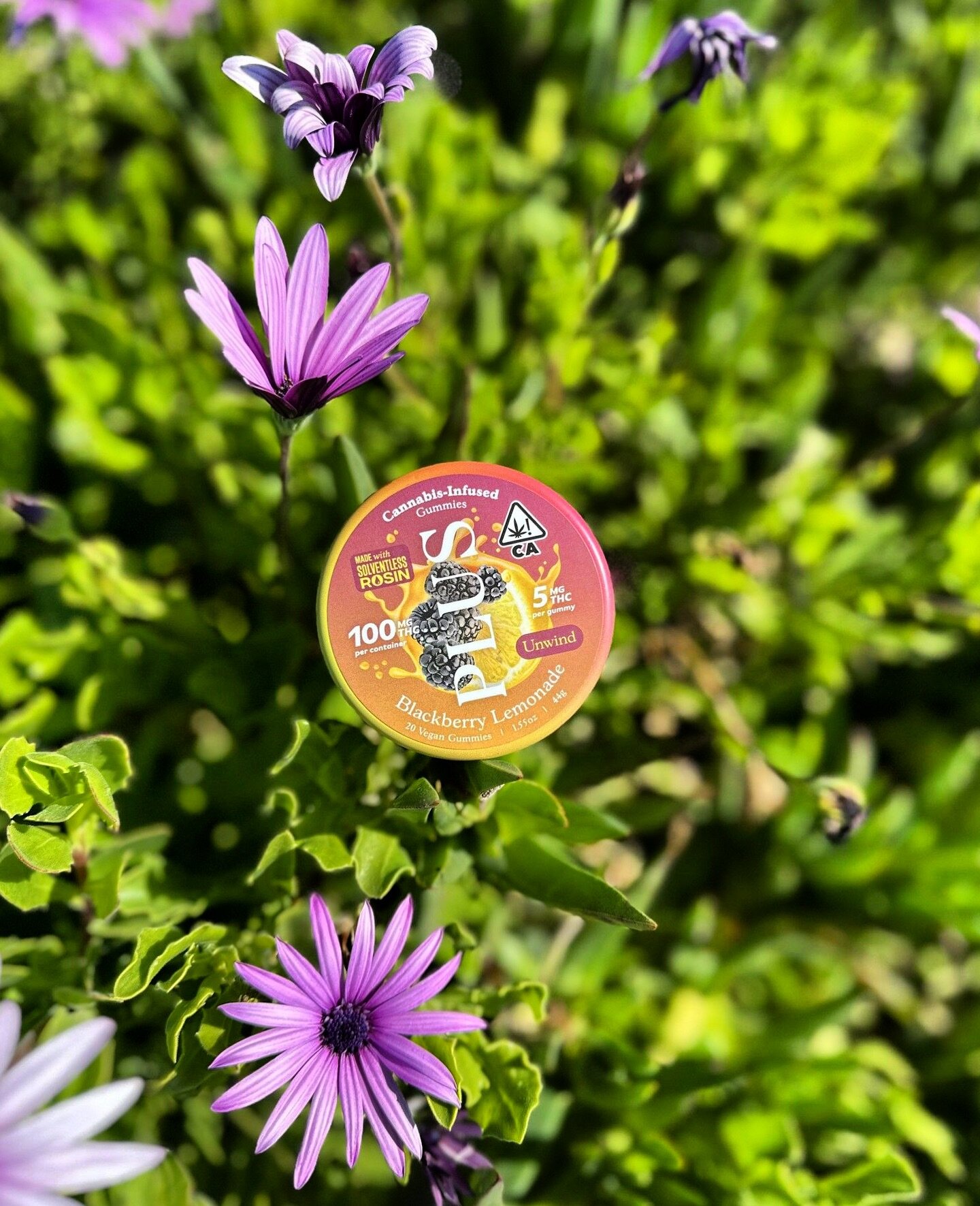 As the flowers bloom, so does your relaxation routine! Indulge in the yummy taste of PLUS Blackberry Lemonade gummies 🌸⁠

#springtime #flowersinbloom